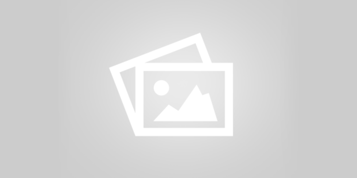 Fundraising Update / One Month Left!